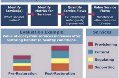 Figure 4. Basic practical steps in valuation for marine ecosystem services by NOAA 