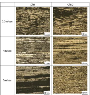 Fig. 7. Optical micrograph on worn surfaces of pin and disc tested at contacting stress of 0.87 kgf/cm 2 (200 g, φ5.4).