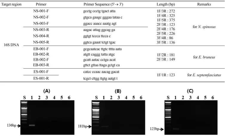 Fig. 4. PCR results from various fishes by PCR using  N. spinosus-specific (A), E. bruneus-specific (B), and E