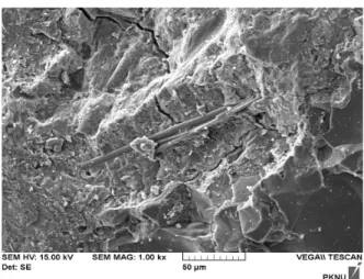 Figure 8. Microstructural image of concrete incorporating 0.5% waste glass wool