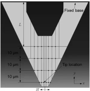 Fig. 1 은 본 연구에 사용된 cantilever의 SEM micrograph 들이다. Fig. 1 (a)는 cantilever의  전체적인 형상을 나 타내며,  탐침이 위치한 cantilever 끝단은 높은  배율로 관찰하여 Fig