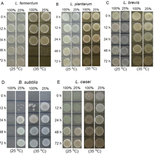 Fig. 2. Growth activities of bacteria during fermentation with FSGB at each concentratation and temperature (dropping on solid agar plate)