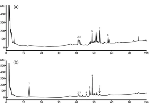 Fig. 5. HPLC chromatograms of fermented steam-dried ginseng berry (a) and steam-dried ginseng berry (b); 1: ginsenoside Re, 2: ginsenoside Rh1, 3: ginsenoside Rg2, 4: ginsenoside Rb1, 5: ginsenoside Rb2, 6: ginsenoside Rd, 7: ginsenoside Rg3, 8: ginsenosid