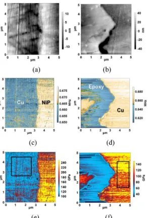 Fig. 3 은 UBM의 Cu / NiP 경계  부분과 Epoxy / Cu 경계 부분에 대한 CRFM 영상 측정 결과이다. Fig. 3 의 (a)와 (b) 사진은  각각 Cu / NiP과 Epoxy / Cu 경 계 부분에 대한 표면 높낮이 측정(Topography) 결과이 며 Fig