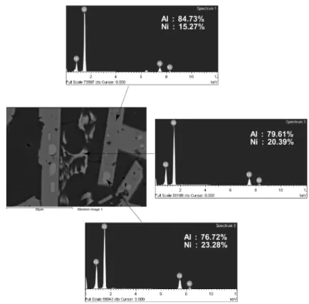 Fig. 7은 ball milling처리한  압분체를 600 o C 에서  5 분간 연소합성 처리한 코팅층 단면 조직을 나타낸 것 이다. 이 경우도 Fig