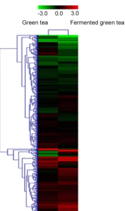 Table 3. Differentially expressed genes in the liver of fermented green tea treated KK-A y