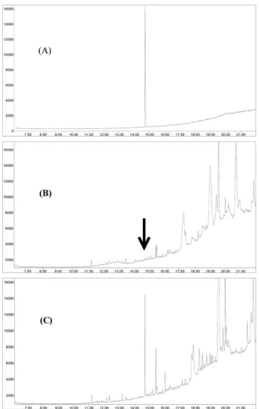Fig. 3. Selective ion ( m/z 241) chromatogram of prometryn standard at 0.1 ng (A), blank clam sample (B) and fortified clam at 0.1 ng (C).