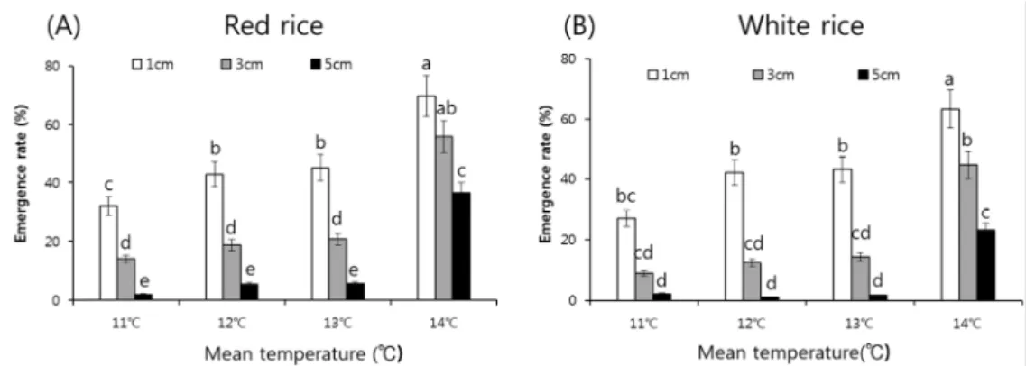 Fig. 3. Emergence rate of low dormancy weedy rice according to brown rice color, (A) red and (B) white, under  different temperature conditions at 30 days after sowing