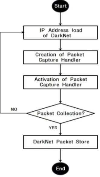 Fig. 8. Format of darknet packets