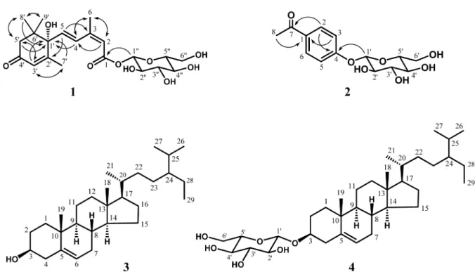 Fig. 2. The chemical structure of compounds 1-4 and important correlations (allows) observed in the HMBC spectra of compounds 1 and 2.