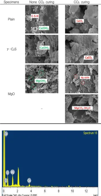 Figure 12. EDX analysis of MgO 90 after CO 2 curingFigure 10. Pore size distribution of samples subjected to