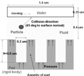 Fig. 1. Schematic of a 2-D finite element model used in this study.