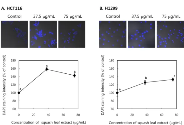 Fig. 4. Inhibitory activities of squash leaf extract on cell attachment in HCT116 and H1299 cells