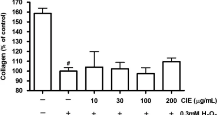 Fig. 3. Effect of CIE on the collagen synthesis of MC3T3-E1 cells in the presence of H 2 O 2 