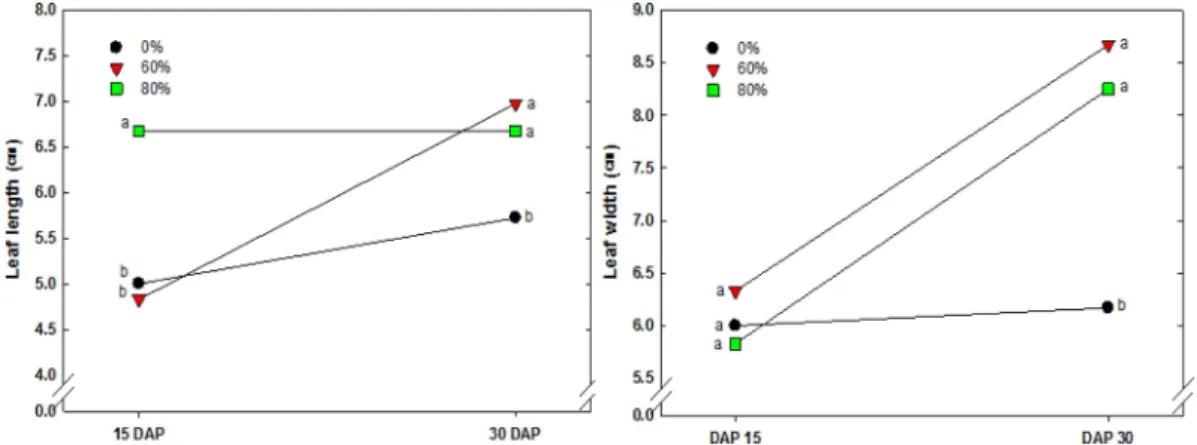 Fig. 6. Changes of leaf length (left) and leaf width (right) by shading in Sicyos angulatus