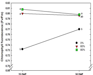 Fig. 8. Changes of SPAD value by shading in Sicyos angulatus. 