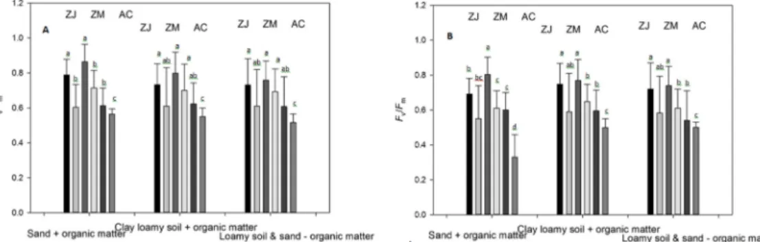 Fig. 3. Mean F v /F m indexes for control and water deprived turf, 90 days from the onset of treatment across three different soil types (A).