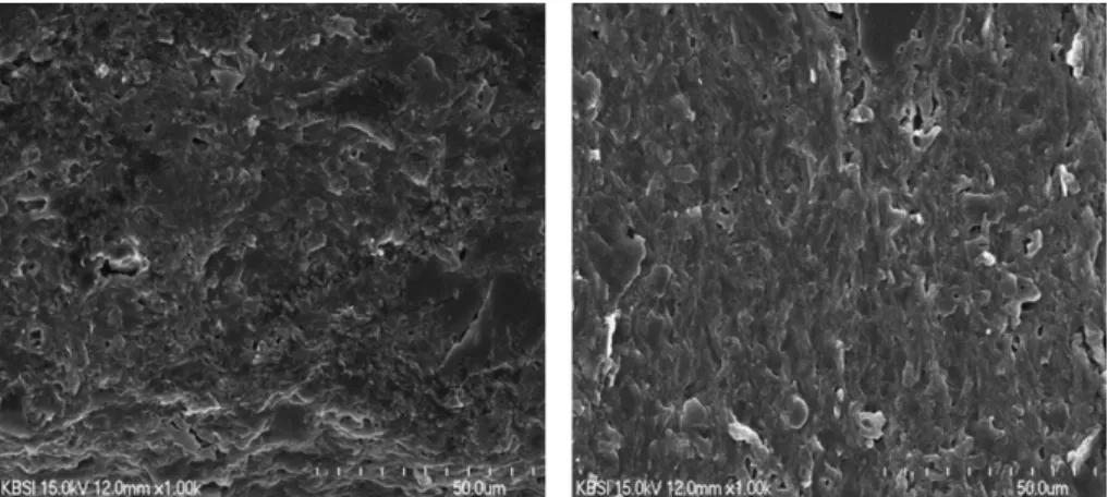 Fig. 5. Scanning electron micrographs of cross-sections of the hijiki-based films formed from the film-forming solutions prepared with high pressure homogenization at 152 MPa with 1 (left), 2 (center), and 3 passes (right).