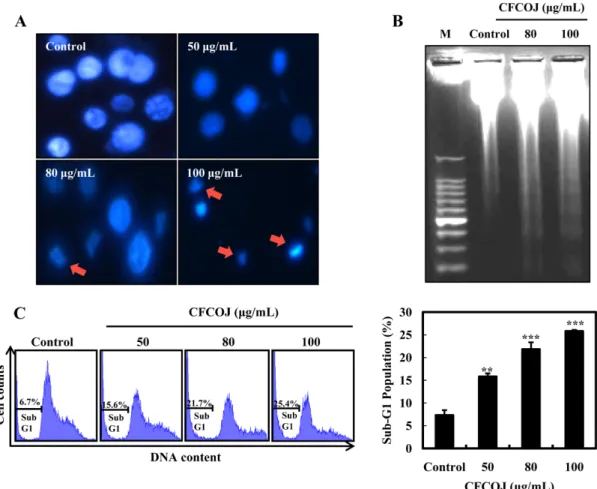 Fig. 3. Effect of a caspase inhibitor (z-VAD-fmk) on cell death induced by CFCOJ. SW480 colon cancer cells were preincubated with 5 µM of z-VAD-fmk for 2 h and then treated with various concentrations of the CFCOJ