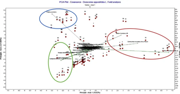 Table 5. Comparison of Dioscorea oppostifolia's root weight between weed control plot and weed untreated control plot.