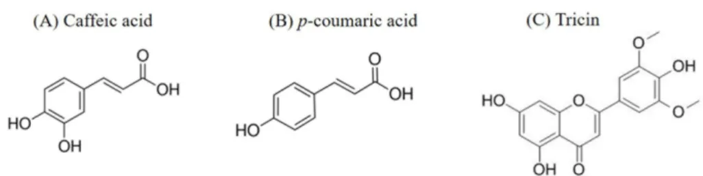 Table 1.  Extraction yields, total polyphenol, flavonoid contents, FRAP and TEAC values of the various bamboo leaf extracts