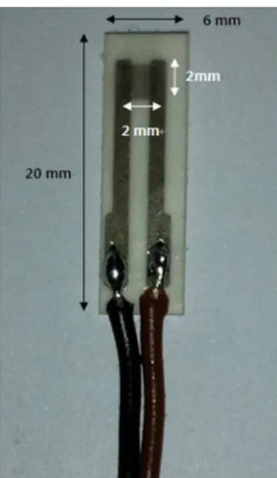 Fig. 1. Fabricated CNT sensor.