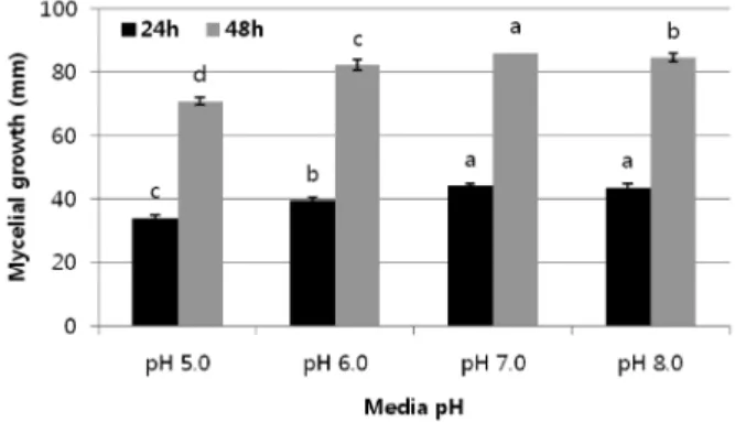 Fig. 6. Pathogenicity test on chewing fescue cultivar “Jamestone II” (A), creeping bentgrass cultivar “Penn cross” (B) and Kentucky bluegrass mixed cultivars (Midnight 33%, Moonlight 33%, and prosperity 33%) (C)