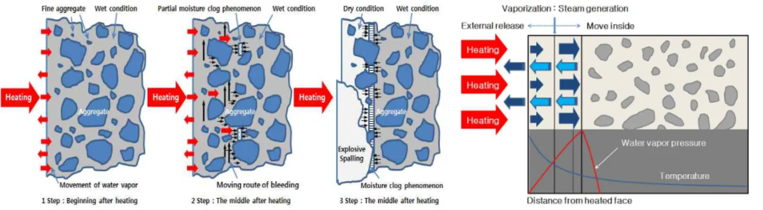 Figure 1. Mechanism of spalling explosion[6] Figure 2. Increase of vapor pressure at high temperature[6]