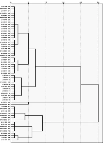 Table 2. Morphological characteristics of groups native medium-leaf type zoysiagrasses