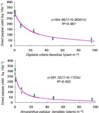 Fig. 1. Observed and predicted yield as a function of Digitaria ciliaris and Amaranthus patulus density in red pepper field