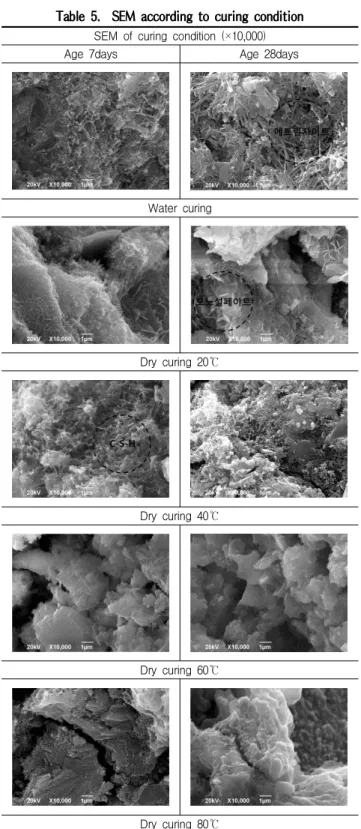 Table 5. SEM according to curing condition