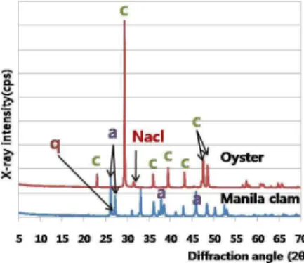 Figure 8. XRD patterns of Oyster and Manila Clam; note that A indicates aragonite, C indicates calcite, and Q indicates quartz