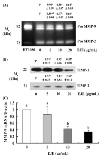 Fig. 1. EJE decreases migration and invasion of MDA-MB-231 cells.  MDA-MB-231 cells were serum-deprived in DMEM/F12 containing 1% charcoal-stripped FBS for 24 h