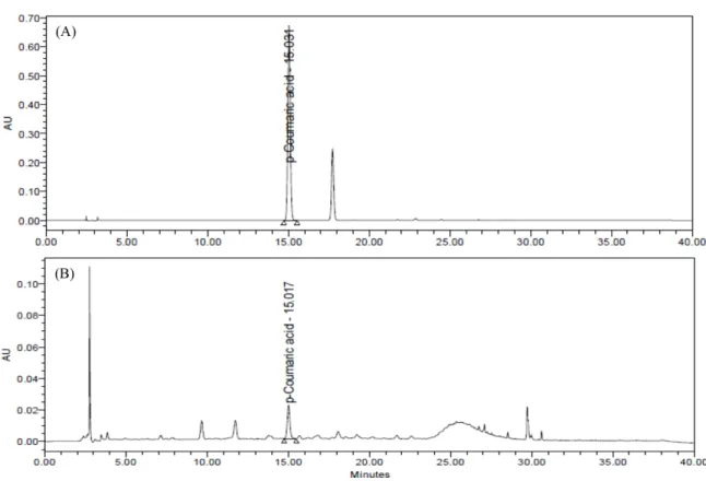 Table 2. Contents of  p-coumaric acid, total flavonoid and total phenol in HR02/04(8:2)-W