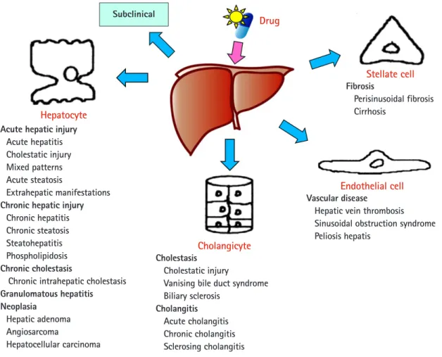 Fig. 1. Spectrum of drug-induced liver injury. The spectrum of drug-induced liver injury is variable and broad from asymptomatic to liver  failure