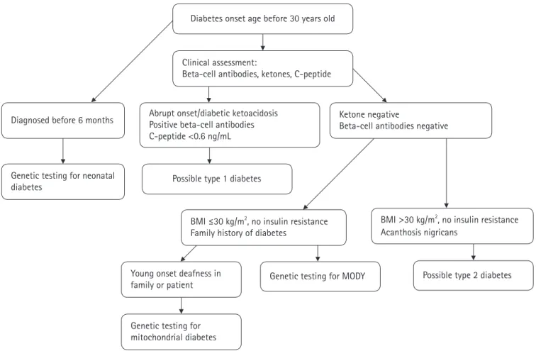 Fig. 1.  Clinical algorithm to aid the diagnosis of maturity-onset diabetes of the young