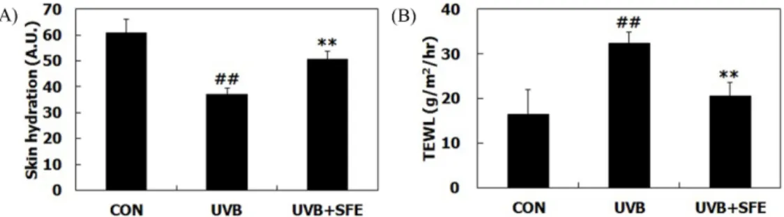 Fig. 5. Effects of SFE on the expression of cornified envelope formation and filaggrin processing-related markers
