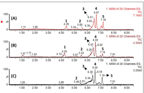Table 3. MS/MS MRM parameters of indole compounds in methanolic extracts from napa cabbage and napa cabbage kimchi
