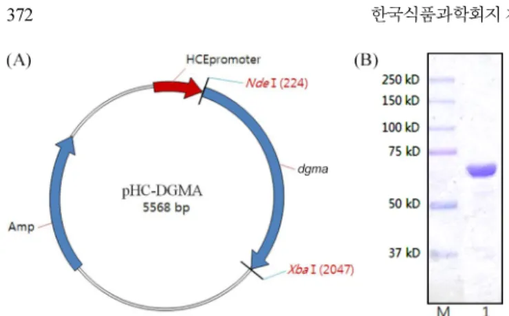 Fig. 3. Enzyme properties of recombinant DGMA. (A) temperature profile; (B) pH profile and (C) thermostability.