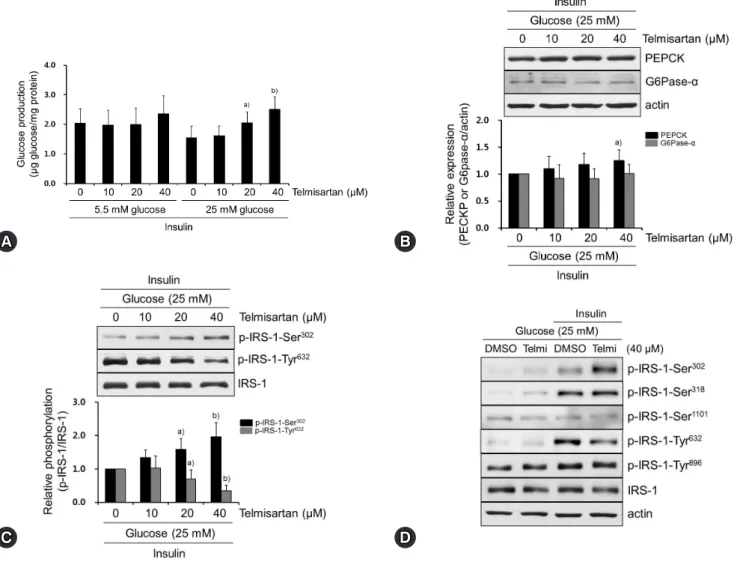 Fig. 1.  Telmisartan increases glucose production by increasing p-IRS-1-Ser 302  and decreasing p-IRS-1-Tyr 632  in hyperglycemic HepG2  cells
