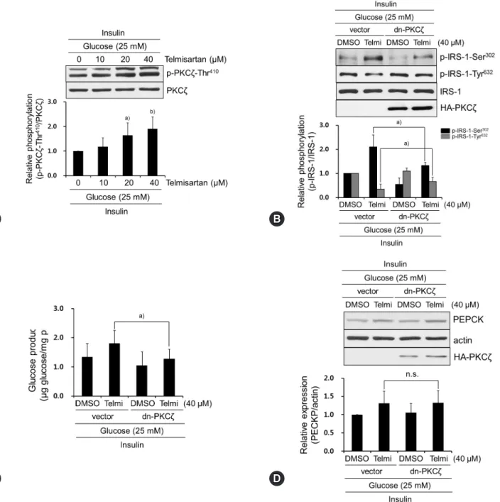 Fig. 2. Telmisartan-induced p-PKCζ-Thr 410  mediates IRS-1 phosphorylation changes that increase glucose production