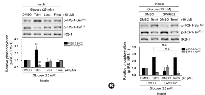 Fig. 3.  Among tested ARBs, only telmisartan induces p-IRS-1-Ser 302  and represses p-IRS-1-Tyr 632  via PPARγ-independent pathway