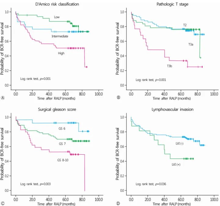 Fig. 2. Kaplan-Meier survival curve analysis of biochemical recurrence-free survival comparing the three D’Amico risk groups (A),  patients based on pathological staging (B), Gleason score (C), and Lymphovascular invasion (D), using the log-rank test