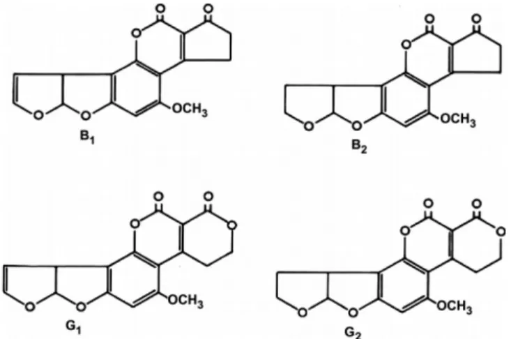 Fig. 2. Flow diagram of sample preparation for analysis of total aflatoxins in various foods.