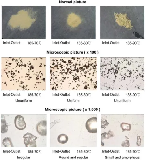 Fig. 1. Microscopic characterization of spray-drying powder obtained from the corn gluten hydrolysates by microbial and enzymatic combined treatment.