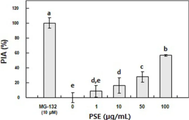 Fig. 2. Effects of PSE on TNF- α-induced NF-κB activation. HepG2 cells were treated with PSE for 24 h and NF- κB activation was induced with 10 ng/mL TNF- α
