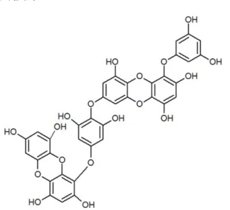 Fig. 1. Chemical structure of dieckol.