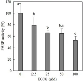 Fig. 1. Effects of EGCG on PARP activity. Bars with different letters indicate significant differences (p<0.05).