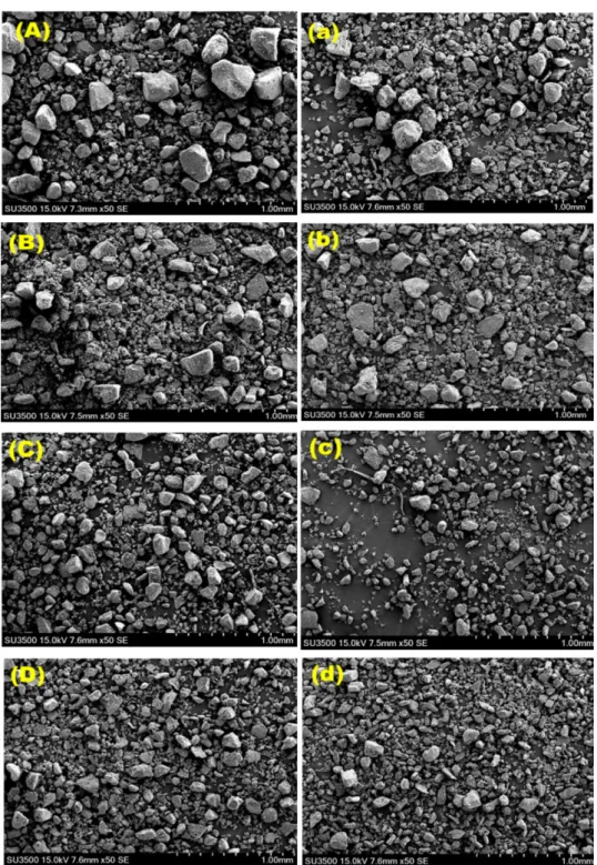 Fig. 1. Scanning electron micrographs of roasted brown rice flour by ground particle size from Ilpum (A-G), Dodamssal (a-g) according to the sieve size, 60, 80, 100, 120, 140, 170 and 200 mesh, respectively, at 50 × magnification