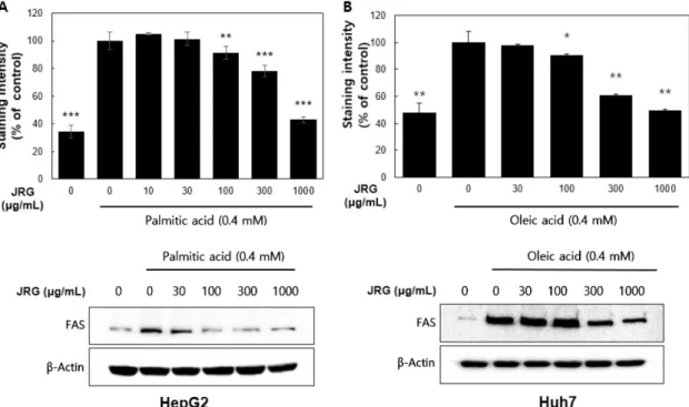 Fig. 1. Effect of JRG of cell viability and growth of hepatoma cells. (A) HepG2 cells were treated with JRG (10, 30, 100, 300, 1,000 µg/mL)